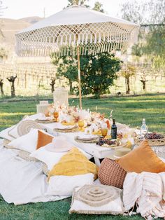 an outdoor picnic with food and drinks on the grass, under an umbrella in the background