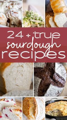 24 + true sourdough recipes that are delicious and easy to make