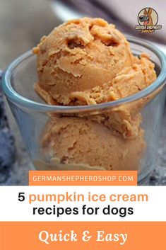 three scoops of pumpkin ice cream in a glass bowl with the words, 5 pumpkin ice cream recipes for dogs quick and easy