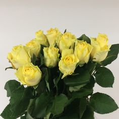 a vase filled with yellow roses on top of a table