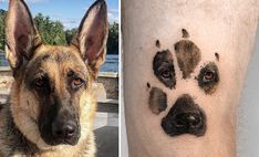 a dog's paw prints on the left and right arm