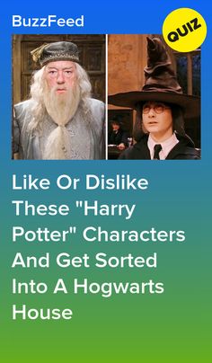 two harry potters with the words like or dislike these harry potter characters and get sorted into a hogwarts house