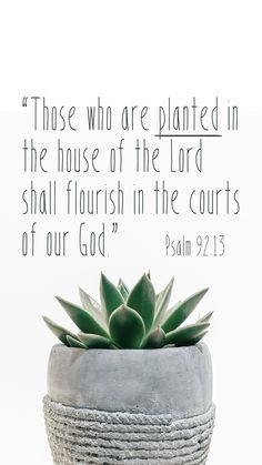 a potted plant sitting on top of a table next to a quote from the bible