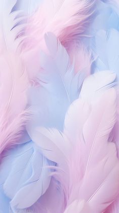 many pink and blue feathers are arranged together