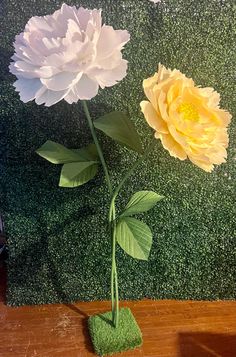 two white and yellow flowers are in a vase