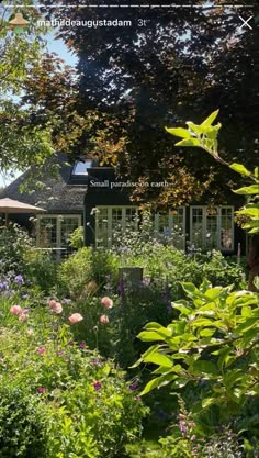 a garden with lots of flowers and trees in the foreground, next to a house