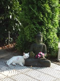 a white cat laying next to a buddha statue on top of a stone floor covered in flowers