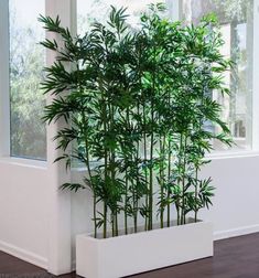 a white bath tub sitting in a bathroom next to a fireplace and potted plants