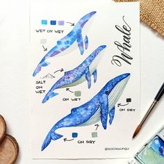 some watercolors are being used to paint blue whale pictures on paper with markers