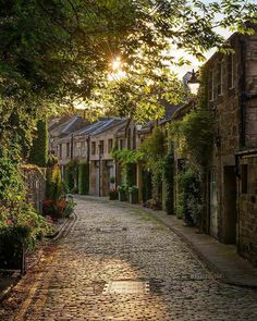 an old cobblestone street with trees and flowers in the foreground is featured on instagram