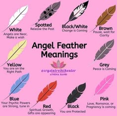 Finding Feathers, Feather Meaning, Angel Feather, Wiccan Magic, Angel Feathers, Wiccan Spell Book, Witch Spell Book