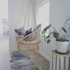 a hammock hanging from a ceiling in a room with plants and rugs