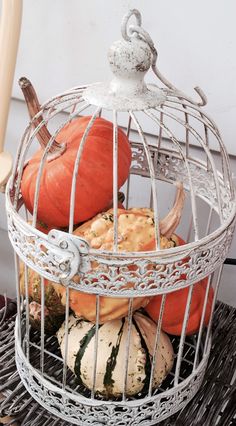 pumpkins and gourds in a metal birdcage