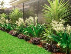 a garden with lots of green plants and white flowers in the grass next to a fence