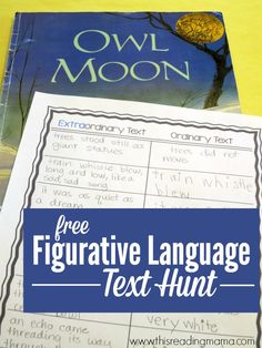 an owl moon book with the title free figurative language text hunt on top of it