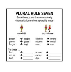 a poster with words that say,'plurral rules seven sometimes, a word may completely change its form when a plura is made