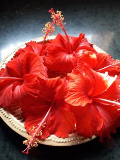 red flowers are arranged on a white plate