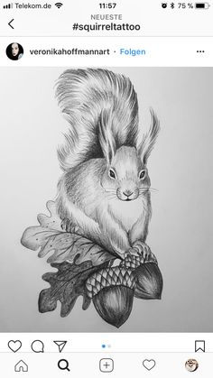 a drawing of a squirrel sitting on top of a tree branch