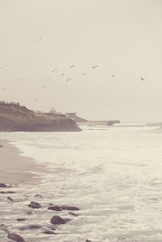 birds are flying over the water and rocks on the beach by the ocean shore line