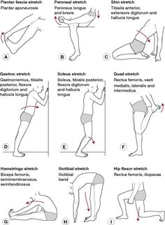 an image of how to do yoga for legs and arms with instructions on the side