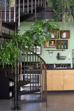 a kitchen with green walls and plants on the wall above the counter, along with stairs leading up to the second floor