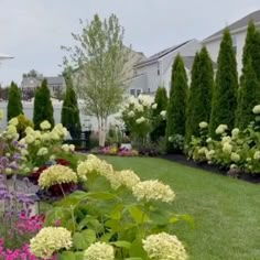 a garden filled with lots of different types of flowers