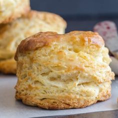 two biscuits are sitting next to each other