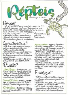 a menu with an image of a sea turtle and the words reptiles on it