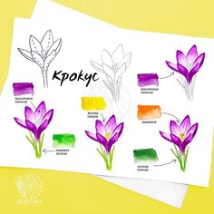 the different types of flowers are shown on paper