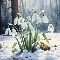 a painting of snowdrops growing out of the snow in front of some trees