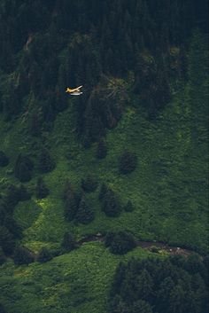 an airplane flying over a lush green hillside