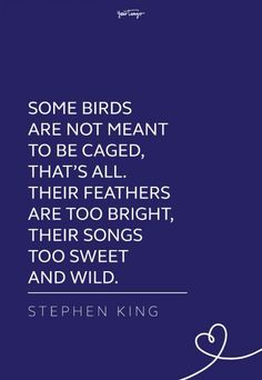 the quote for stephen king's poem, some birds are not meant to be caged