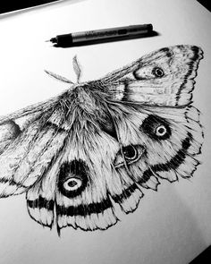 a black and white photo of a moth on a piece of paper next to a marker