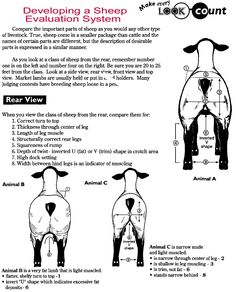 the diagram shows how to draw an animal's body and its features in different ways