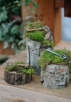 three pieces of wood with moss growing on them