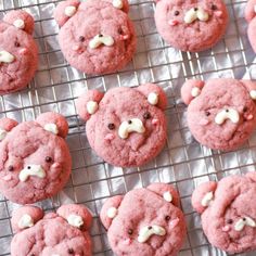 pink cookies with white chocolate teddy bears on a cooling rack in front of other cookies