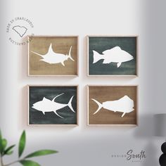 three framed pictures with fish on them