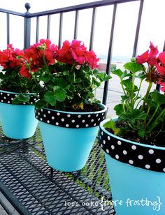 four potted plants with polka dots on them are sitting on a metal deck near the ocean