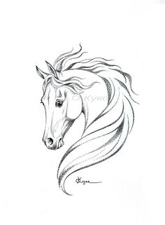 a drawing of a horse's head with long manes and flowing hair in the wind