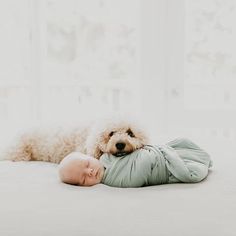 a small dog laying on top of a bed next to a baby