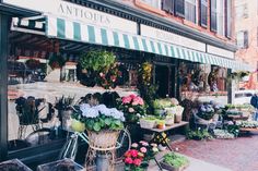 an outdoor flower shop with lots of flowers on display