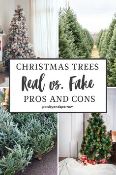 christmas trees are red, green and blue in this collage with the words christmas trees real vs fake pros and cons