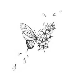 a black and white drawing of a butterfly on a flower with drops of water coming out of its wings