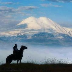 a man riding on the back of a horse in front of a snow covered mountain