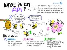 an image of what is an api? with bees and flowers around it, labeled in the following words