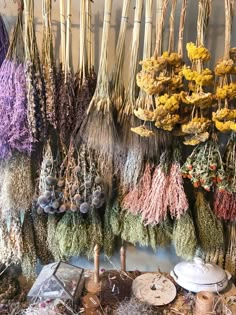 dried flowers and herbs for sale in a market