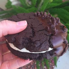 a hand holding a chocolate cookie with white frosting