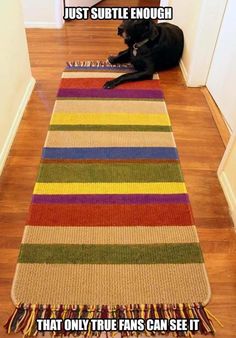 a black dog laying on the floor next to a multicolored rug with tassels