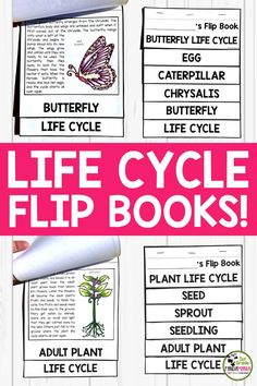 the life cycle flip books for kids and adults are shown in pink with butterflies on them