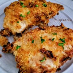 three pieces of fried chicken on a white plate with parsley sprinkles